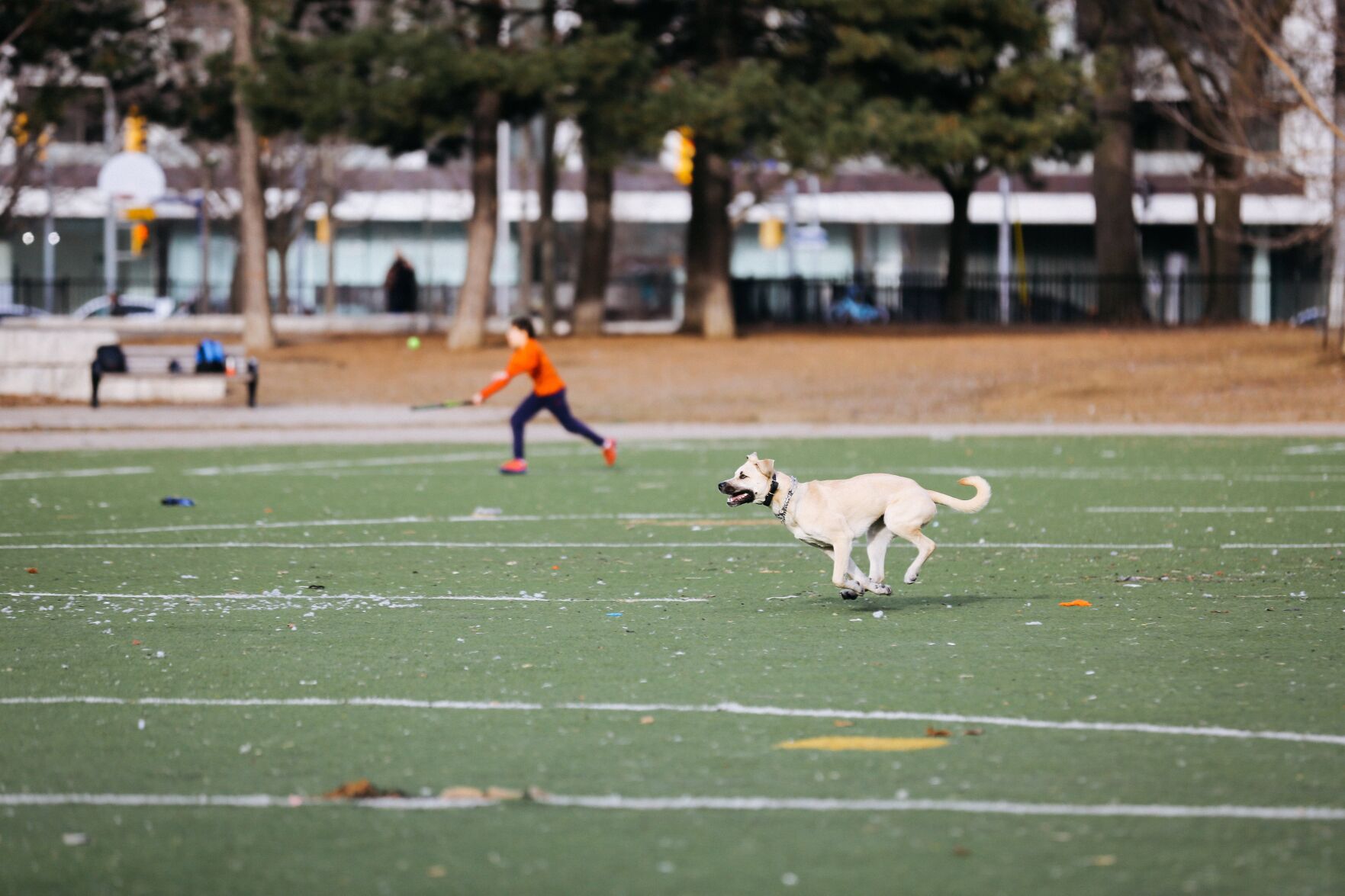 DogRunKidBackground.JPG